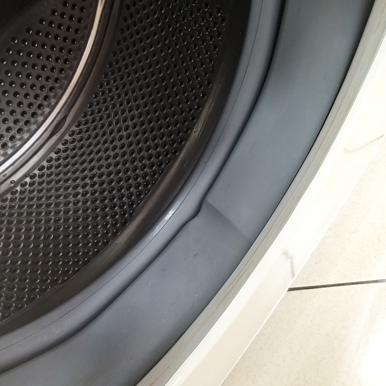 Bosch Maxx4 - B1WTV3600A 1 (5)